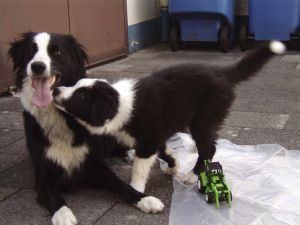 300BenBravery01 067.jpg